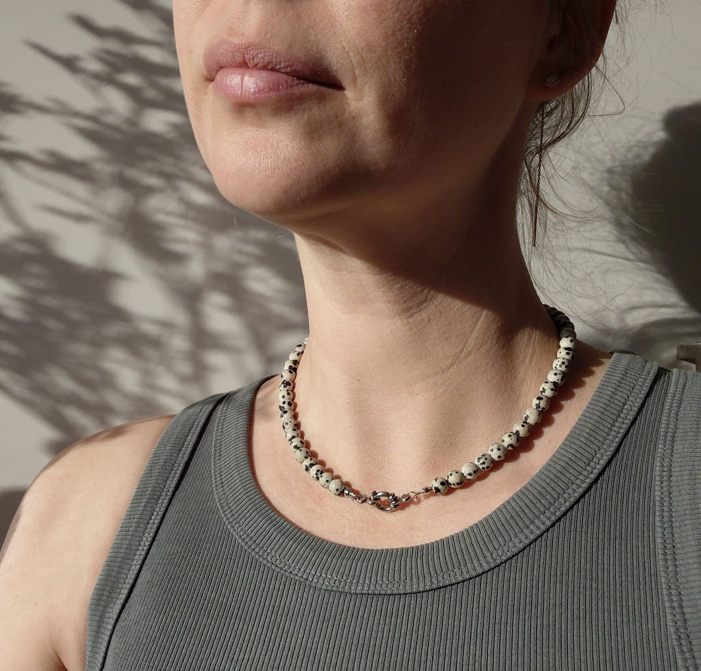 dalmatier om nek.webp